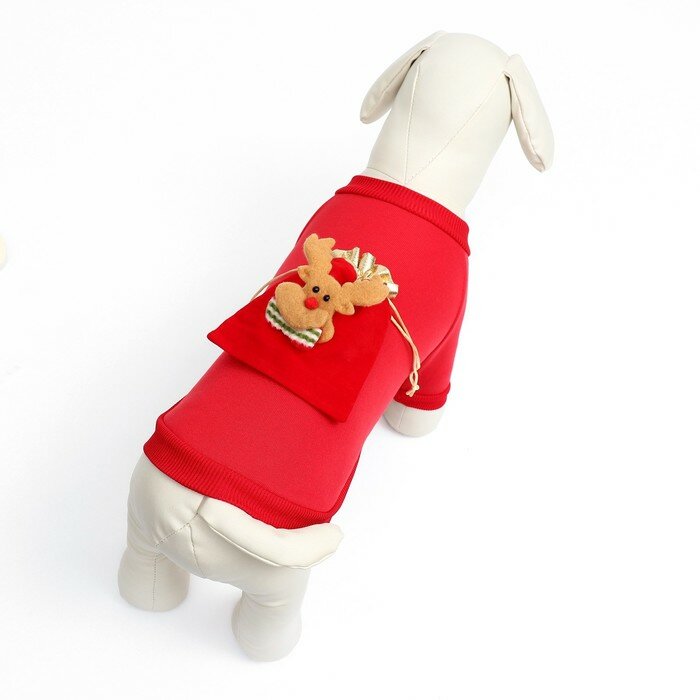 Куртка для собак, M (ДС 25 см, ОШ 37 см, ОГ 37 см), красная - фотография № 11