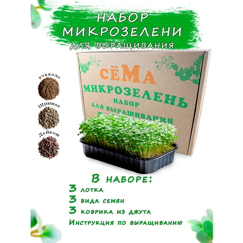 Набор микрозелени для выращивания Микрохарвест 3 культуры 475₽