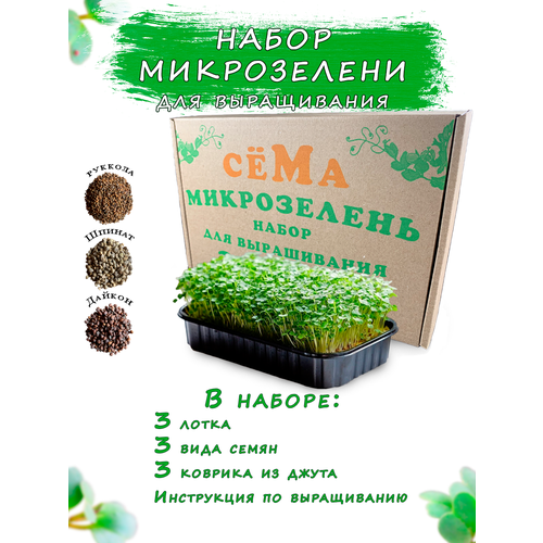 Набор микрозелени для выращивания Микрохарвест 3 культуры