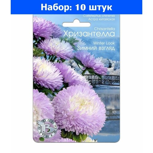 Астра Хризантелла Зимний взгляд хризантемовидная 30шт Одн 80см (Биотехника) - 10 пачек семян