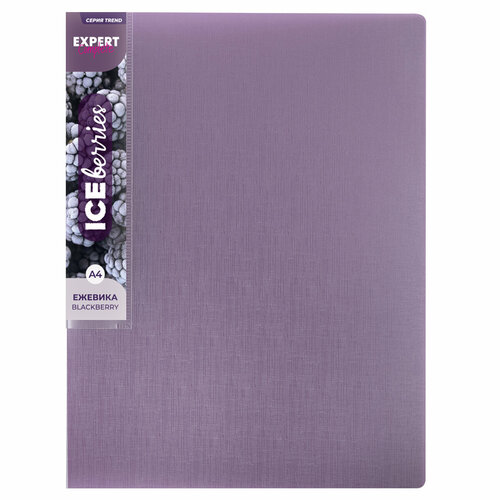 Expert Complete Trend ICEberries Папка на 4 О-кольцах A4 700 мкм 25 мм 1 шт. d - 17 мм ежевика EC211420072 expert complete prisma папка мет прижим a4 700 мкм 20 мм 6 шт изумрудный ec210700010