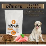 RODGER Сухой Корм SUPER PREMIUM, для собак средних и крупных пород, курица 1кг - изображение