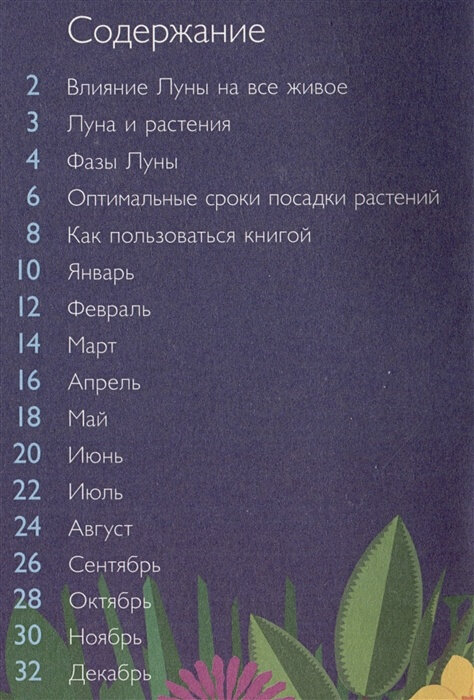 Лунный посевной календарь на 2024 год в самых понятных и удобных цветных таблицах - фото №4