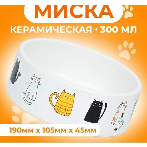 Миска керамическая Котяры 300 мл 12,5 x 4,5 cм, белая миска керамическая котяры 300 мл 12 5 x 4 5 cм белая