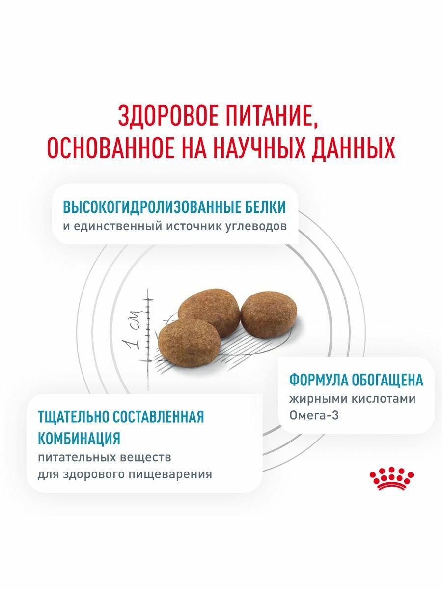 Корм Royal Canin Hypoallergenic DR 21 Canine для собак 2кг — фото 1