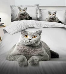 Комплект постельного белья 1,5 спальный серый Поплин, Кошка