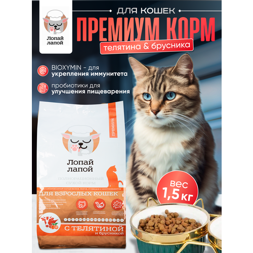 Сухой корм для кошек с телятиной 1,5 кг