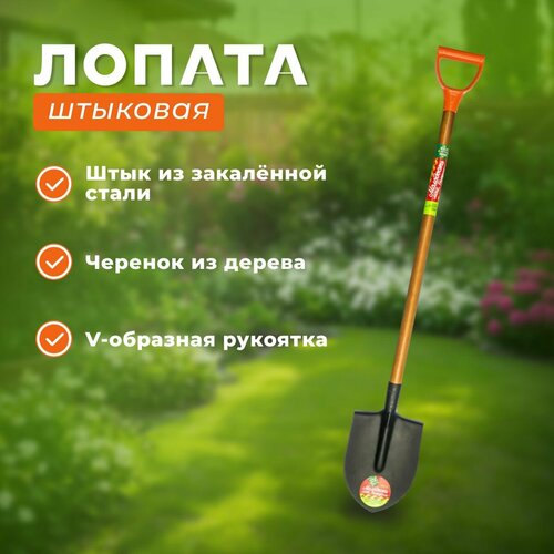 Лопата штыковая молодость МОЯ закалённая сталь 2080₽