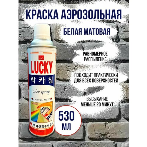 Краска аэрозольная матовая универсальная Lucky 630₽