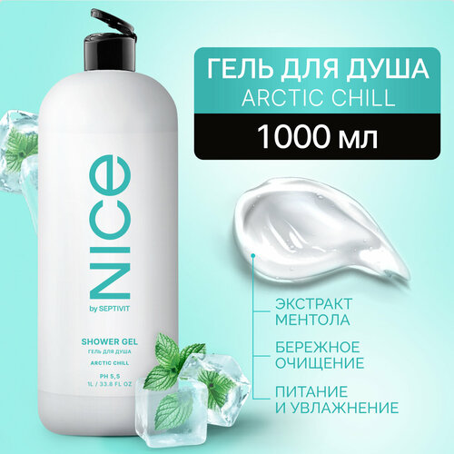 Гель для душа NICE by SEPTIVIT Arctic Chill 1 л гель для душа nice by septivit arctic chill 1 л