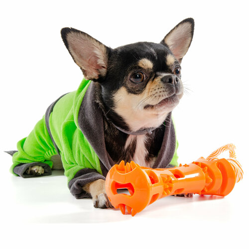 Игрушка для собак резиновая EliteDog "Косточка на верёвке", оранжевая, 52.5х7х5.5см