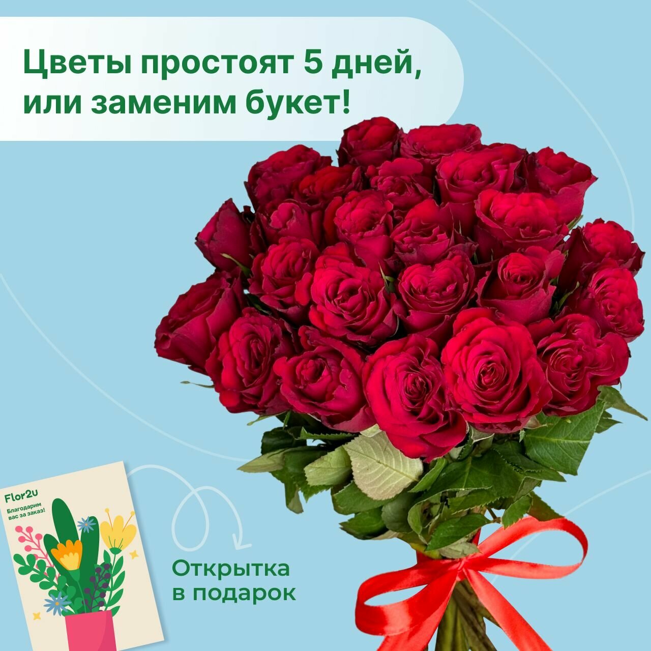 Букет живых цветов из 25 красных роз 35 см в ленте с доставкой