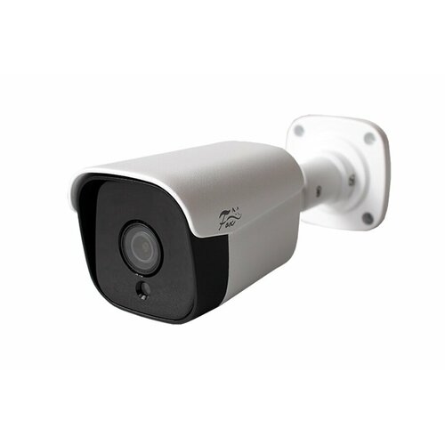 Уличная IP-камера Fox FX-IPC-C20FP-IR 5990₽
