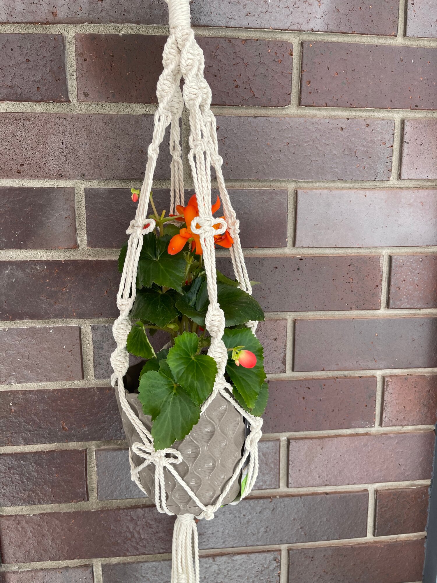 фото Кашпо для цветов подвесное, макраме (длина 78-80 см. диаметр горшка до 15 см.)