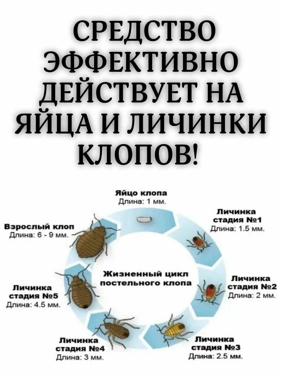 Средство от тараканов, клопов, блох, комаров, отрава против насекомых "Атом 25", 2 г — фото 1