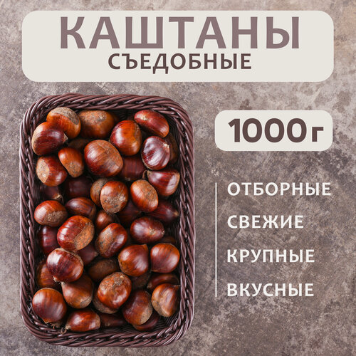 Изображение товара Каштан съедобный в скорлупе, "Грузия", 1 кг, урожай 2025 года