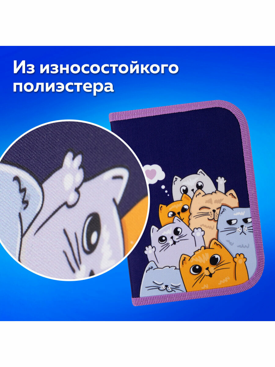 Пенал школьный для девочек для карандашей и ручек с 1 отделением, канцелярия для школы, 1 откидная планка, полиэстер, 19х13 см, Пифагор Cats, 272291 — фото 1