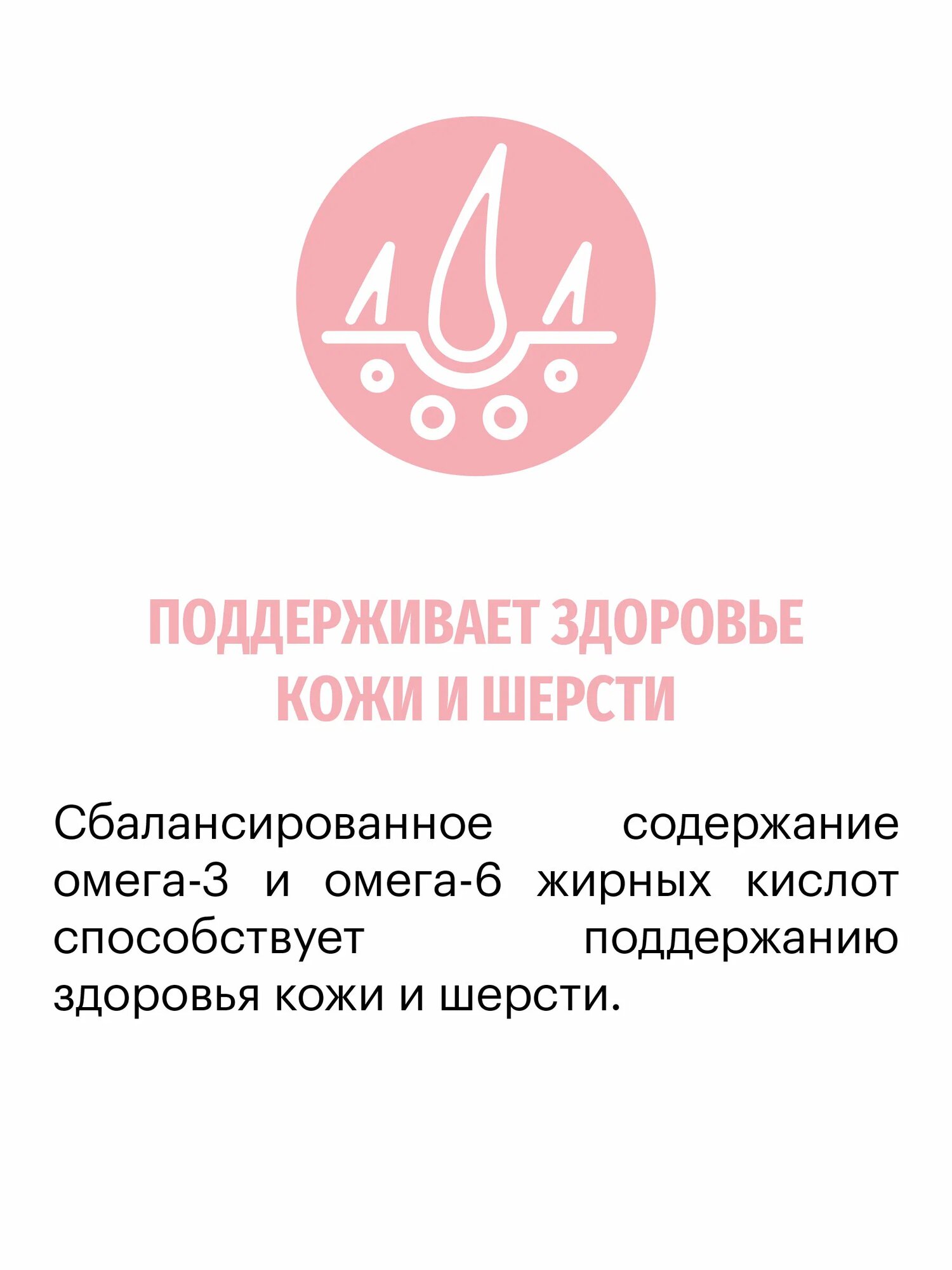 Корм для собак сухой KARMY Delicious Medium & Maxi для привередливых собак средних и крупных пород, Телятина, 14кг. — фото 1