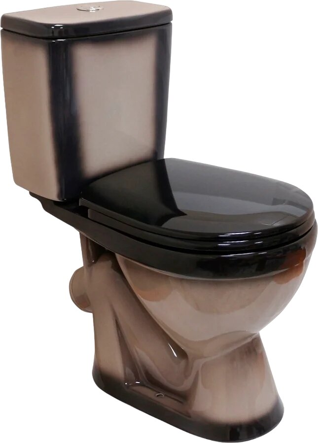 Унитаз-компакт напольный Rosa Лира 4620008192093 с косым выпуском