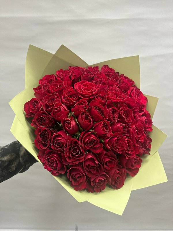 Букет розы кения 51 цветок упаковка высота 40см