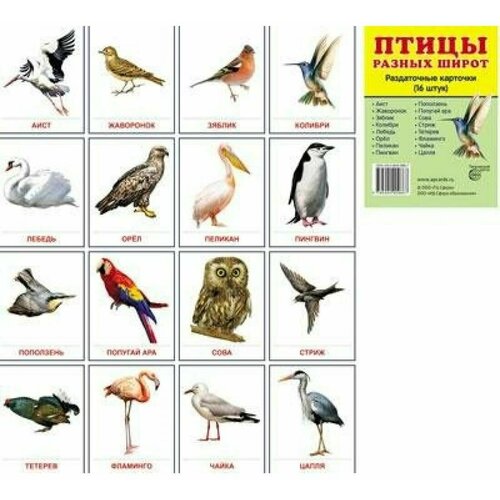 раздаточные карточки профессии 16 карточек Сфера/НабКарт//Птицы разных широт. 16 раздаточных карточек 63 х 87/