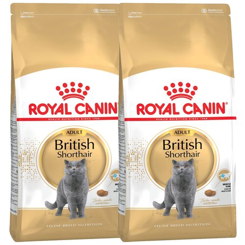 Сухой корм для кошек Royal Canin для британских короткошерстных 2 шт. х 4 кг