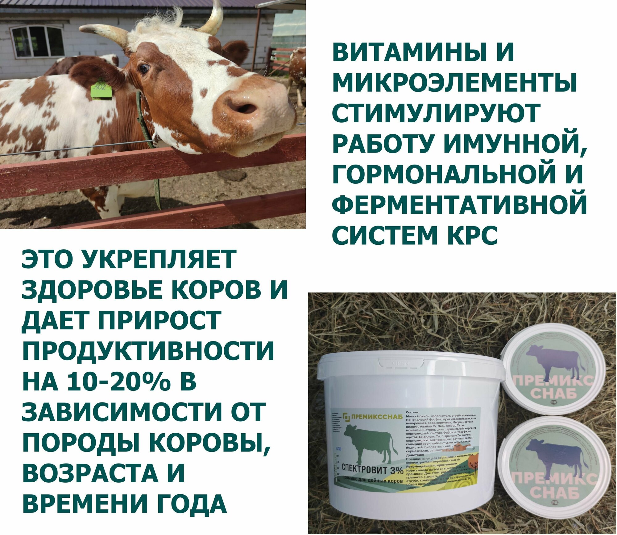 Премикс для дойных коров 3% Спектровит - фотография № 3