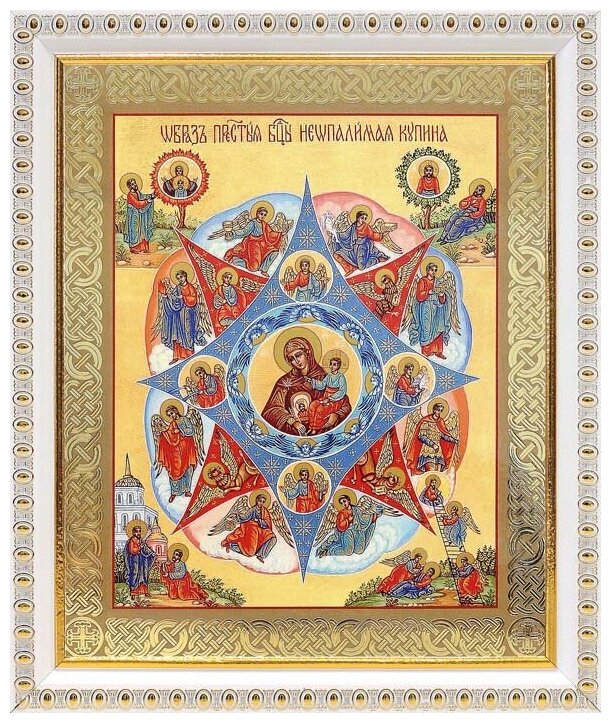 Икона Божией Матери "Неопалимая Купина" (лик № 064), в белой пластиковой рамке 17,5*20,5 см