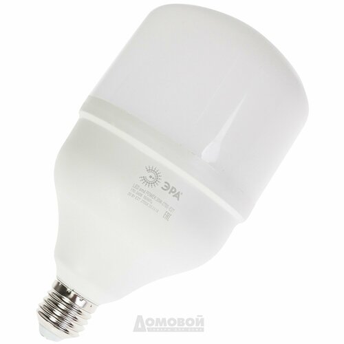 Лампа светодиодная ЭРА LED POWER T100