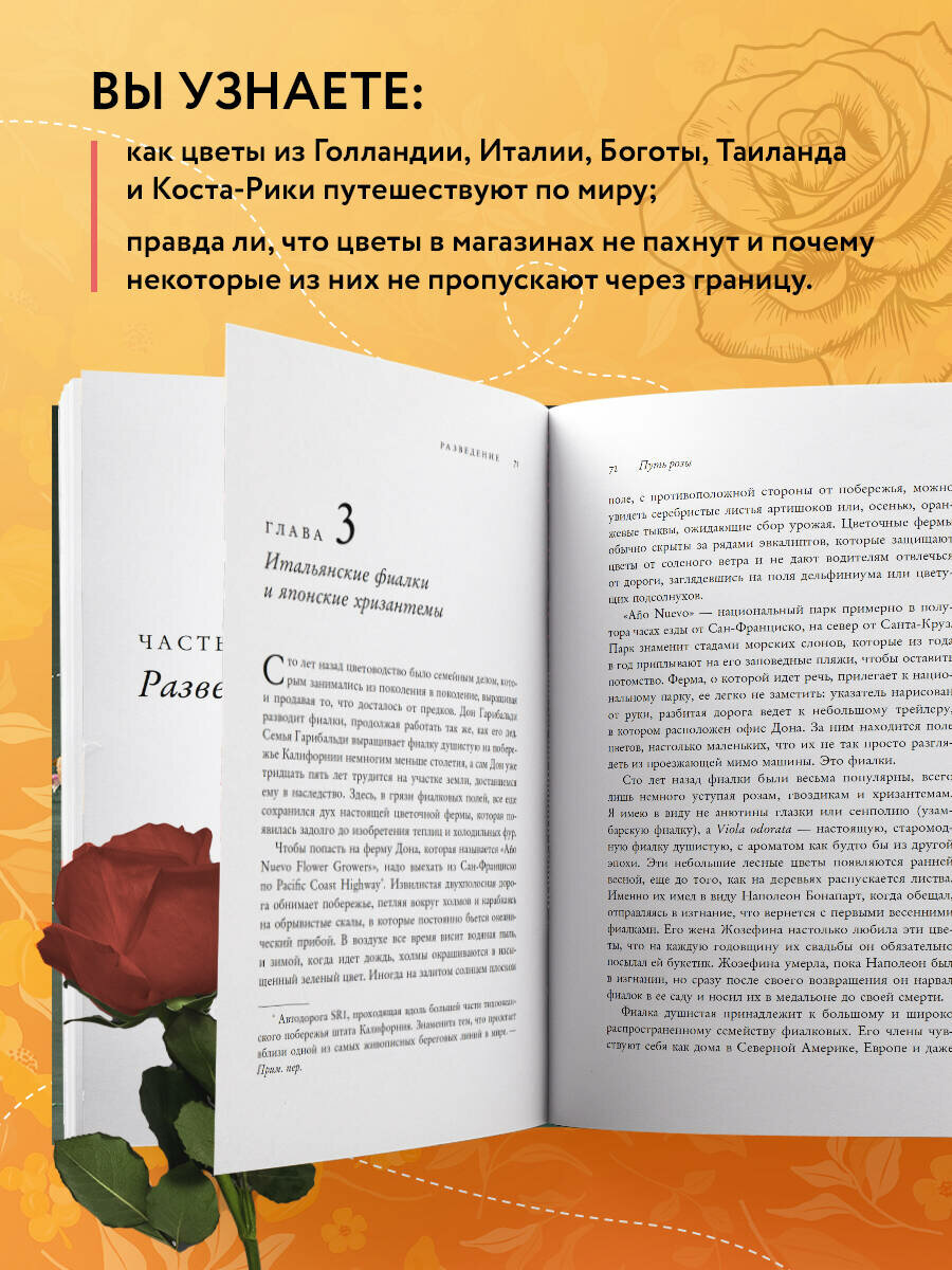 Путь розы. Внутри цветочного бизнеса: как выводят и продают цветы, которые не сумела создать природа - фото №3