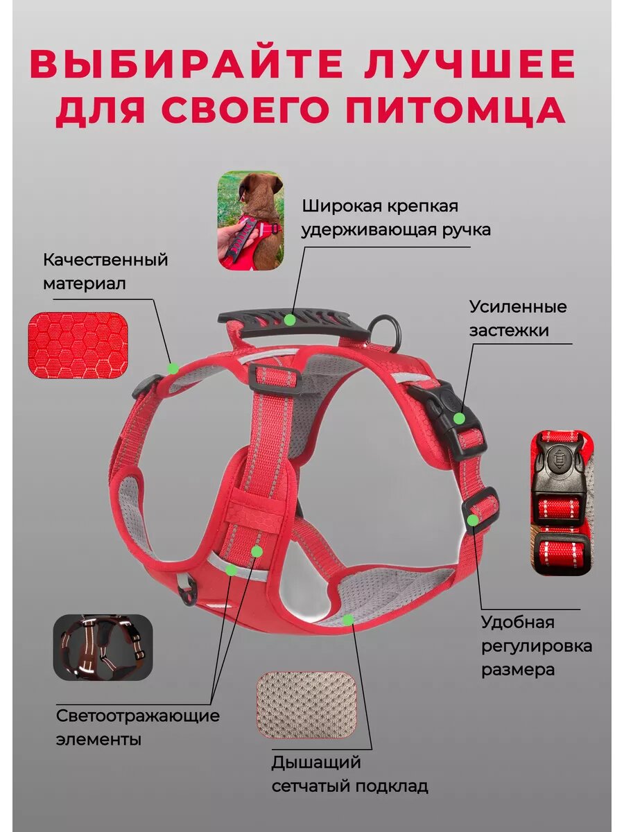 Изображение Прочная анатомическая шлейка для собак