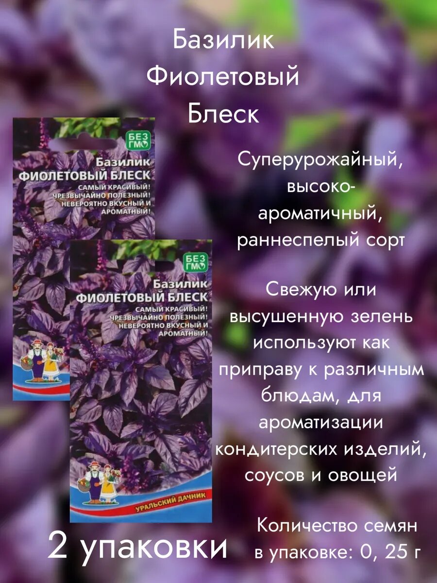 Семена Базилика Уральский Дачник  Фиолетовый Блеск   раннеспелые  2 уп 