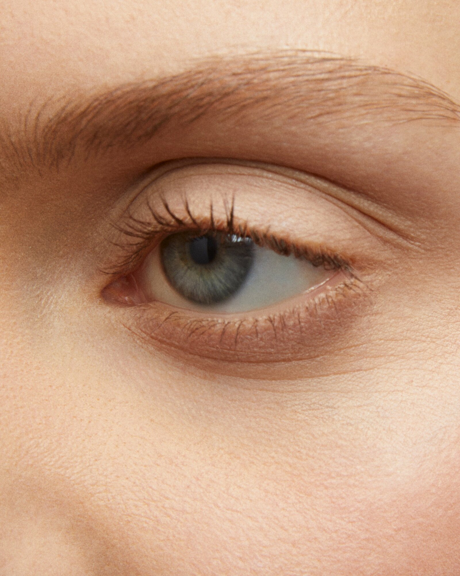 Тени для век Soft Matte FREEDOM, оттенок №801, матовый финиш — фото 1