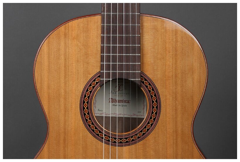 Alhambra 8.806 Classical Student Iberia Ziricote Классическая гитара