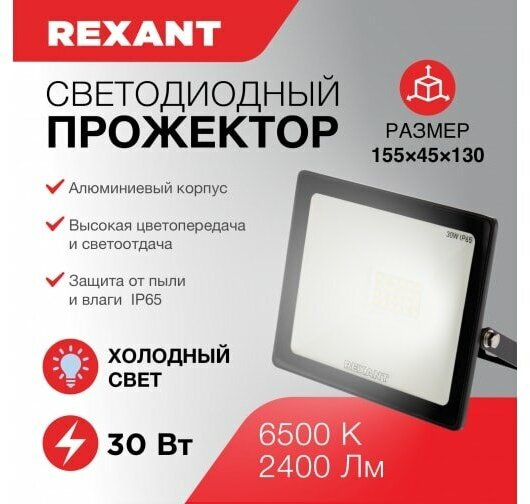 Прожектор REXANT 605-003, 30 Вт, свет: холодный белый