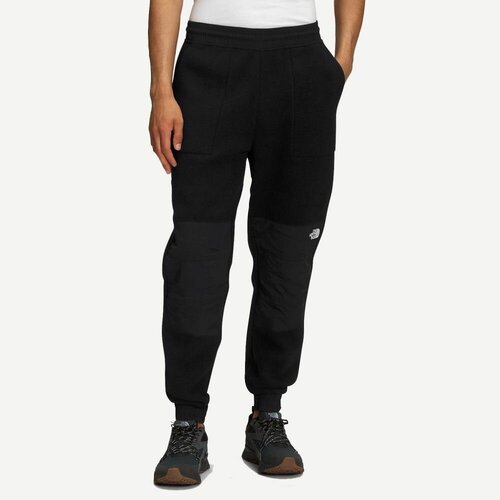 The North Face Брюки Denali Pant M L, black