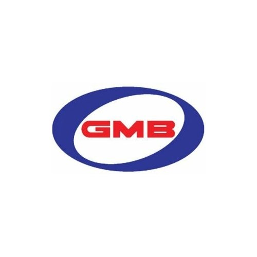 GMB GH0018R0 Подшипник ступицы