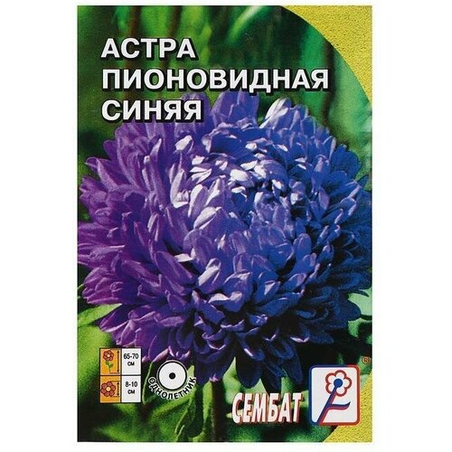 Семена цветов Астра Сембат, пионовидная, синяя, 0,2 г 10 упаковок семена цветов астра пионовидная белая 0 2 г 20 упаковок