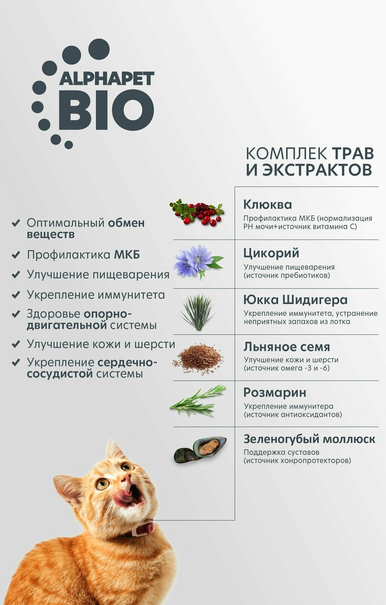 Корм AlphaPet для котят, беременных и кормящих кошек, с цыпленком — фото 1