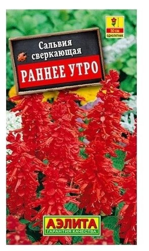 Сальвия Раннее утро 0,1г Одн 60см (Аэлита)