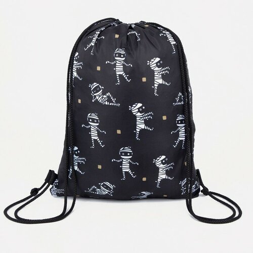 FlashMe Мешок для обуви цвет чёрный 502₽