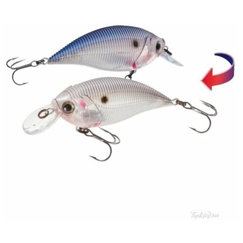 Воблер Yo-Zuri Sashimi Shallow Crank (F) 70mm R1060-CGSH воблер yo zuri sashimi shad sp 70mm r1018 cgsh