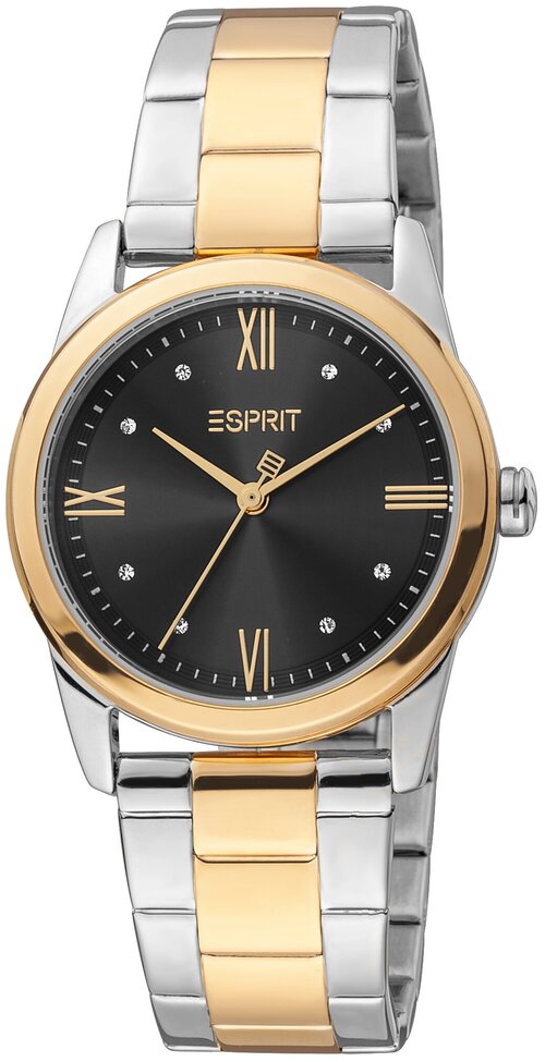 Наручные часы ESPRIT ES1L217M1105, черный, серебряный