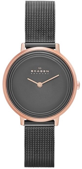 Наручные часы SKAGEN