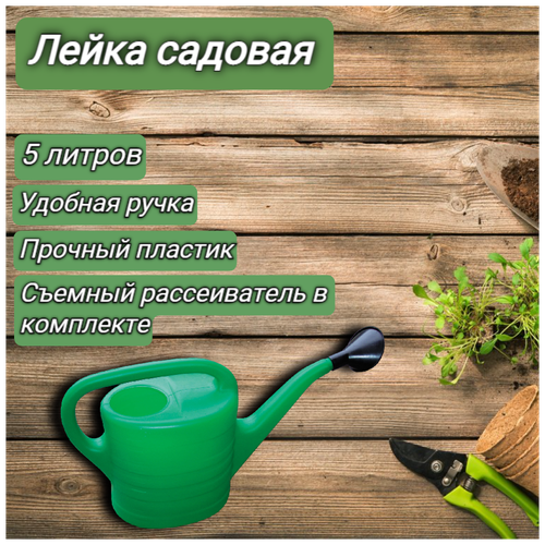 Лейка с рассеивателем садовая 5 литров/ Лейка для рассады лейка садовая 5 л пластиковая с рассеивателем