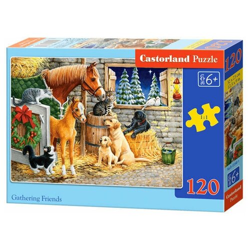 Castorland Gathering Friends (В-13340), 120 дет., 130х175х37 см, разноцветный castorland farm в 03136 30 дет 13х18х3 7 см разноцветный