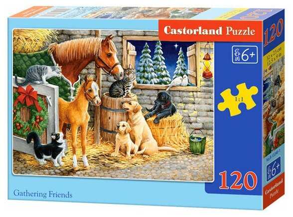 Пазл Castorland Puzzle Собрание 120 деталей 32*23см В-13340 6+