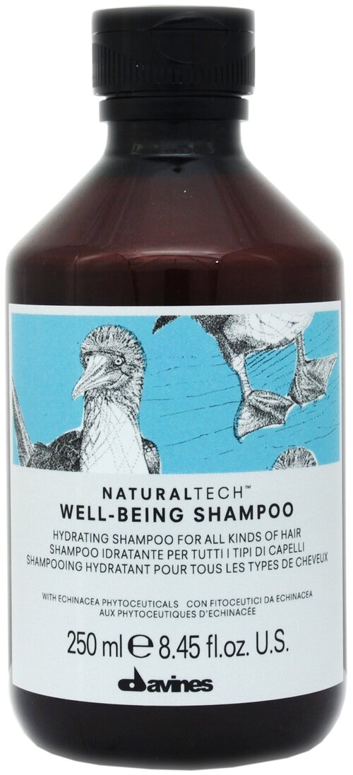 Davines шампунь NaturalTech Well-Being, 250 мл