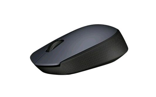 Мышь Logitech M170, серый/черный (910-004646) - фото №12