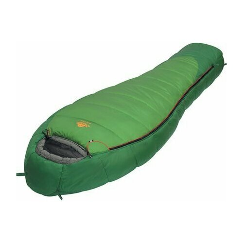 Спальник Alexika Mountain L 2-3-19 кокон 1787000₽